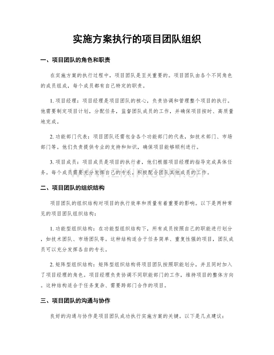 实施方案执行的项目团队组织.docx_第1页