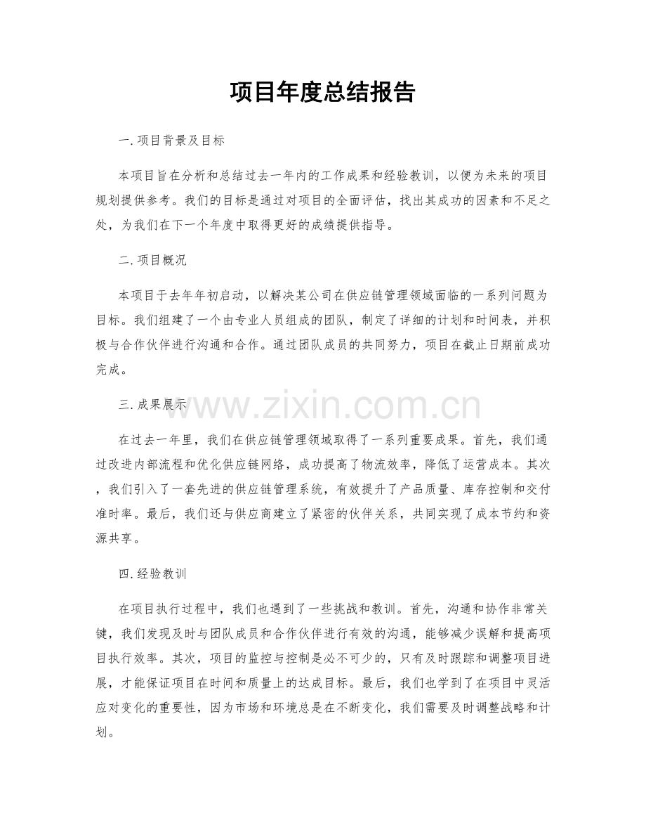项目年度总结报告.docx_第1页