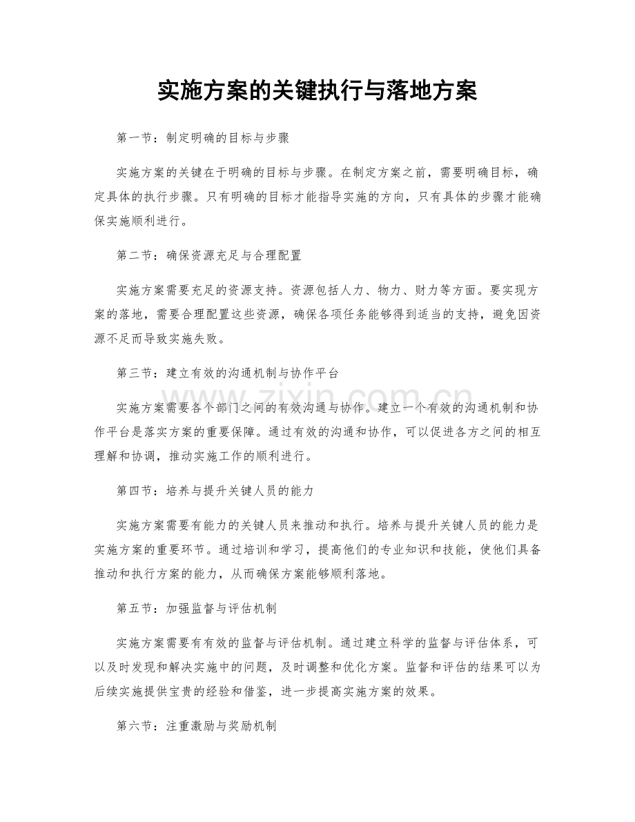 实施方案的关键执行与落地方案.docx_第1页