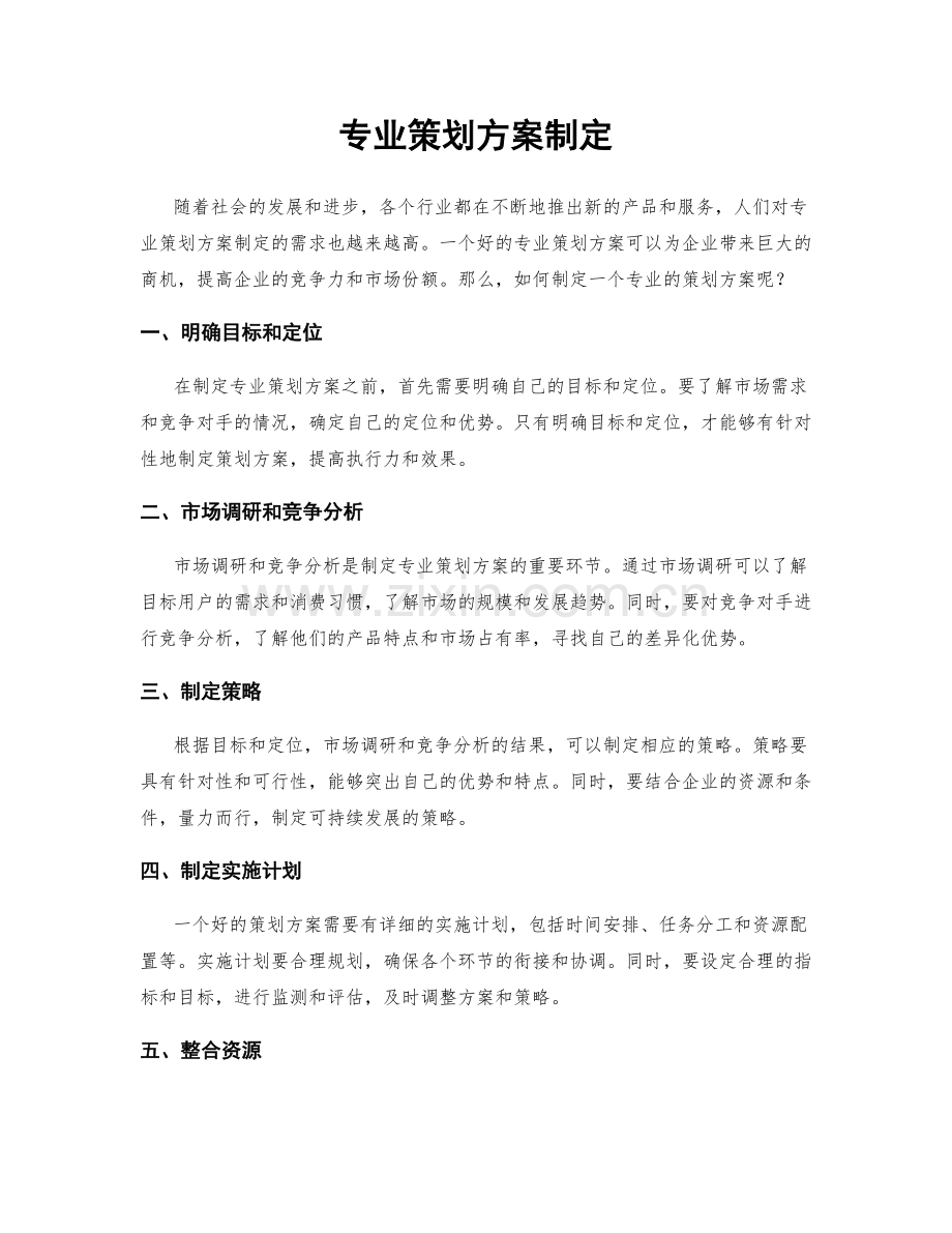 专业策划方案制定.docx_第1页