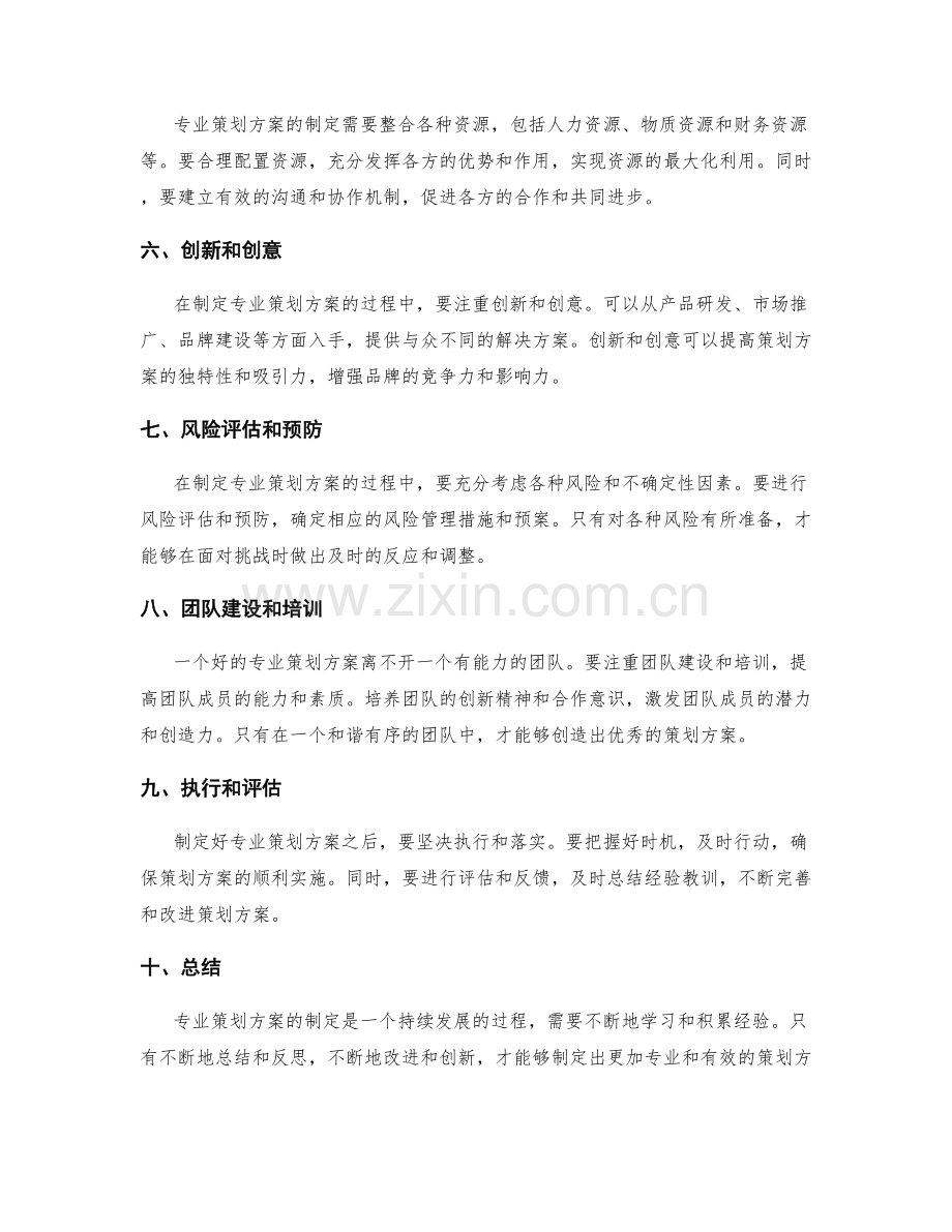 专业策划方案制定.docx_第2页