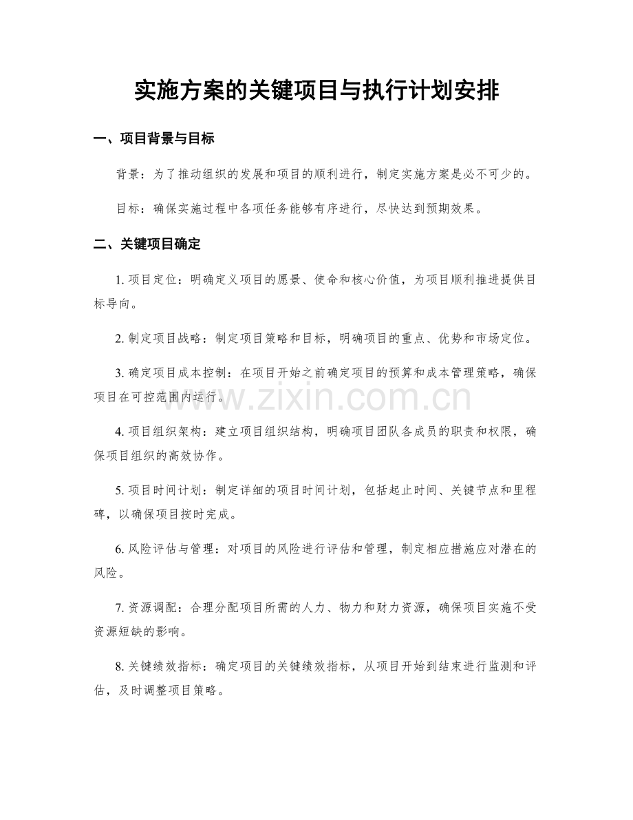 实施方案的关键项目与执行计划安排.docx_第1页