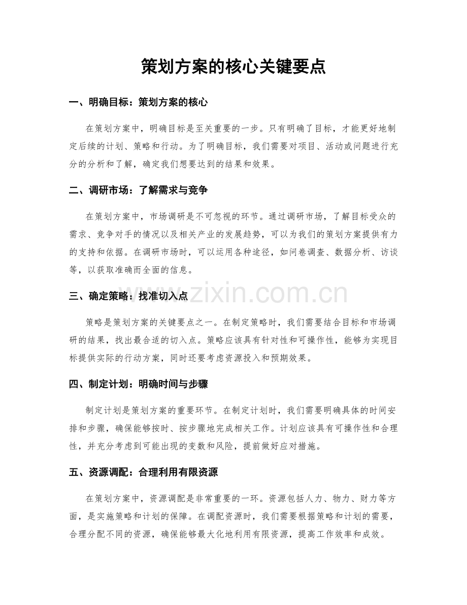 策划方案的核心关键要点.docx_第1页