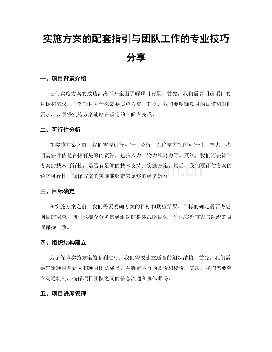 实施方案的配套指引与团队工作的专业技巧分享.docx_第1页