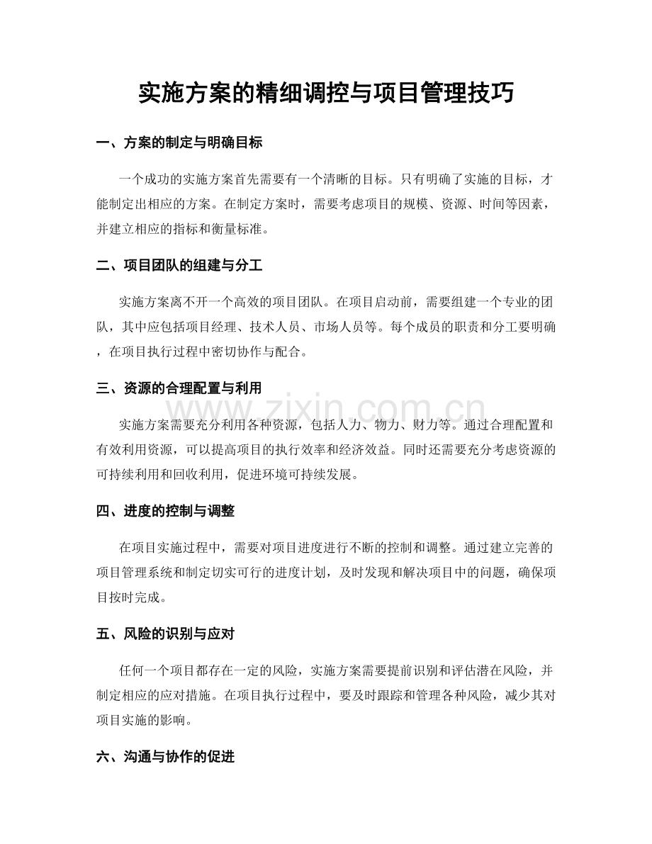 实施方案的精细调控与项目管理技巧.docx_第1页