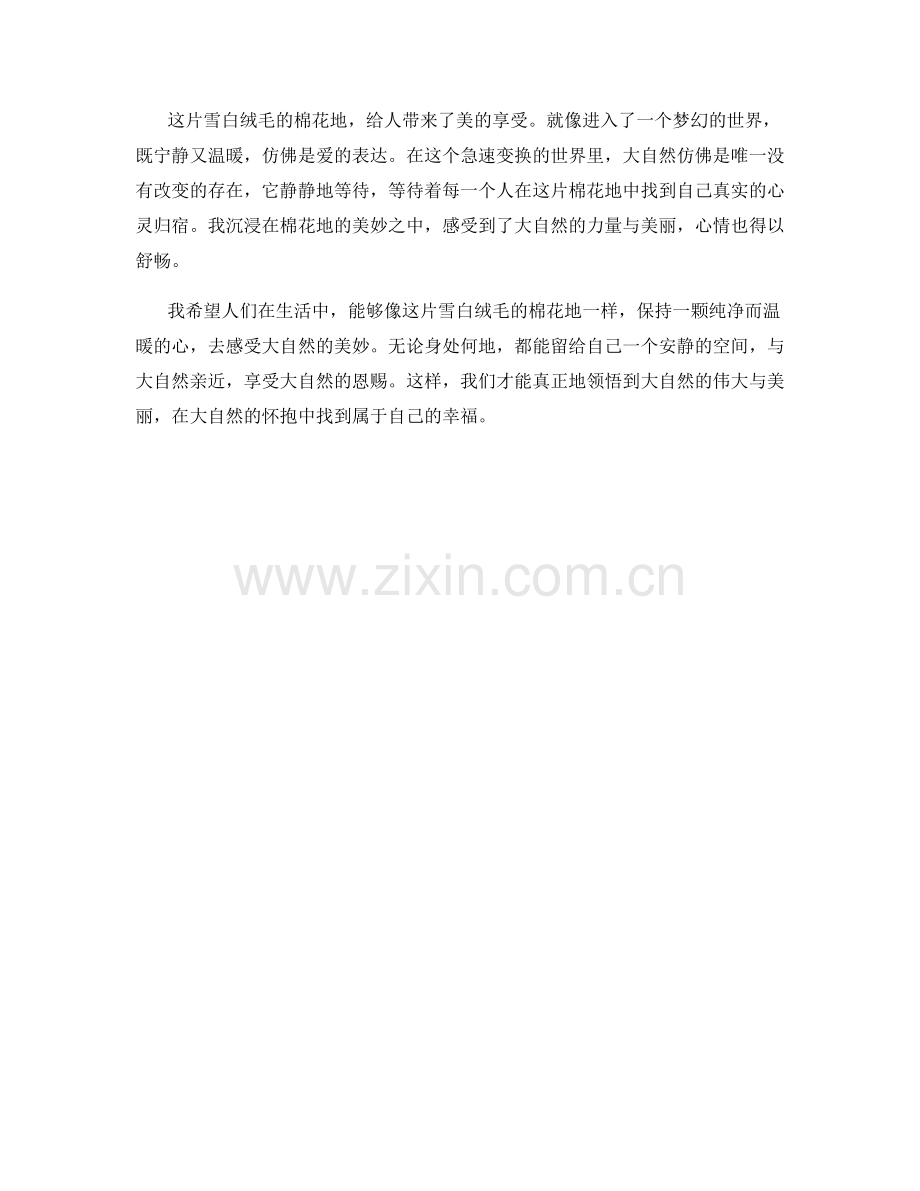 雪白绒毛的棉花地.docx_第2页