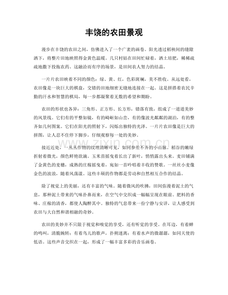 丰饶的农田景观.docx_第1页