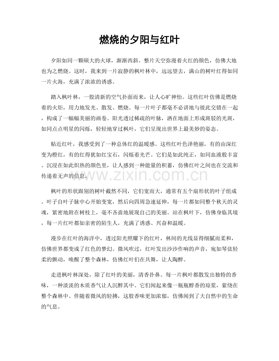燃烧的夕阳与红叶.docx_第1页