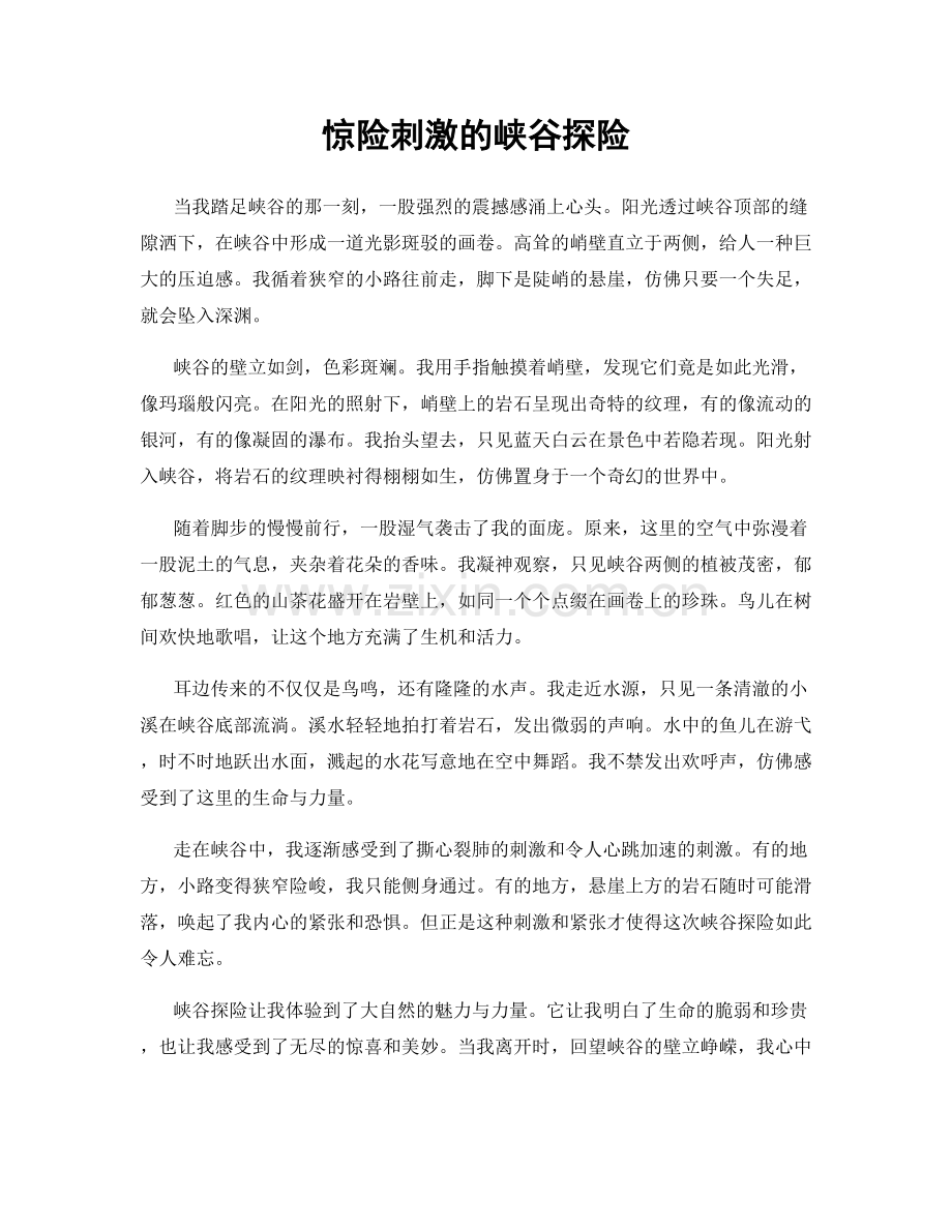 惊险刺激的峡谷探险.docx_第1页