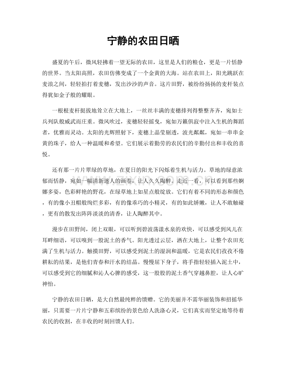 宁静的农田日晒.docx_第1页