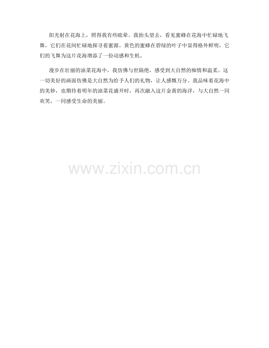 漫步在油菜花海中.docx_第2页
