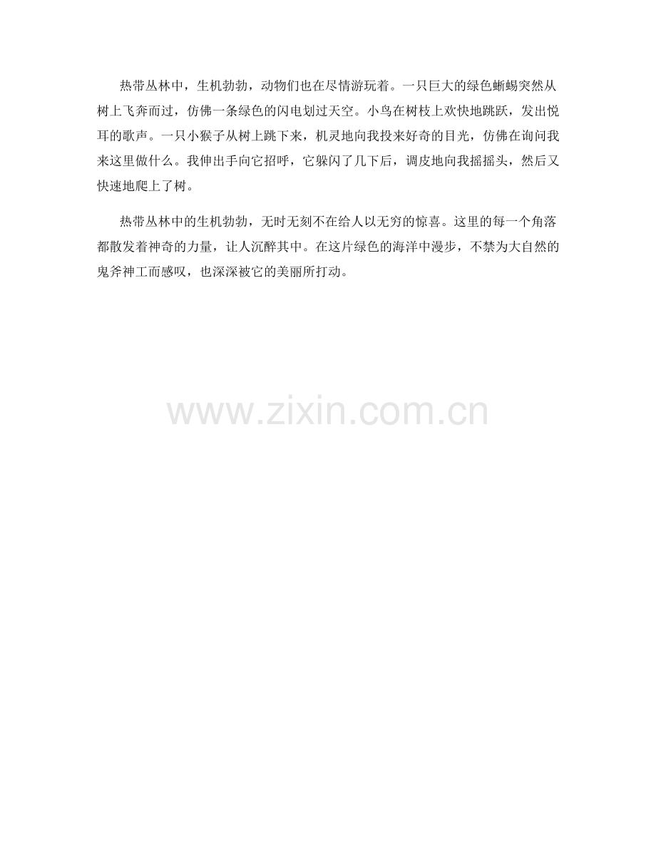 热带丛林中的生机勃勃.docx_第2页