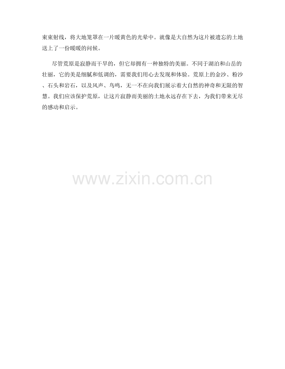 落寞的荒原与寂静的干旱土地.docx_第2页