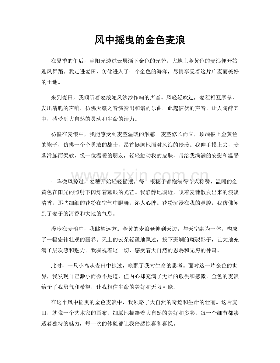 风中摇曳的金色麦浪.docx_第1页