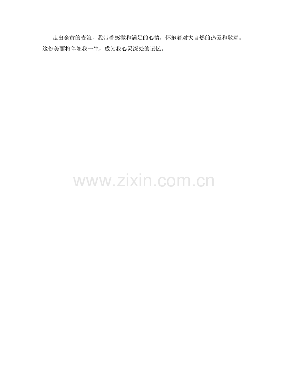 风中摇曳的金色麦浪.docx_第2页