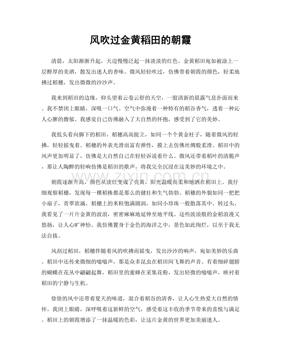风吹过金黄稻田的朝霞.docx_第1页