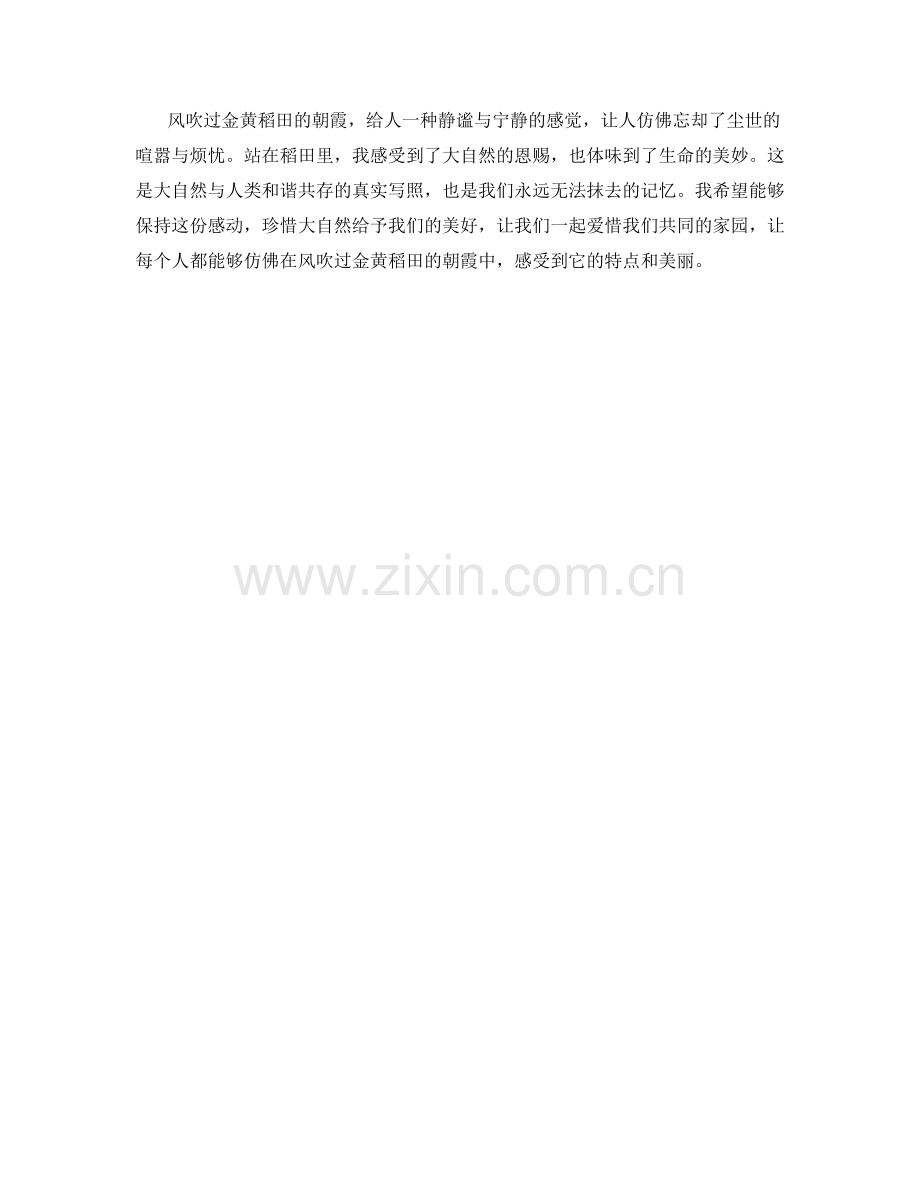 风吹过金黄稻田的朝霞.docx_第2页