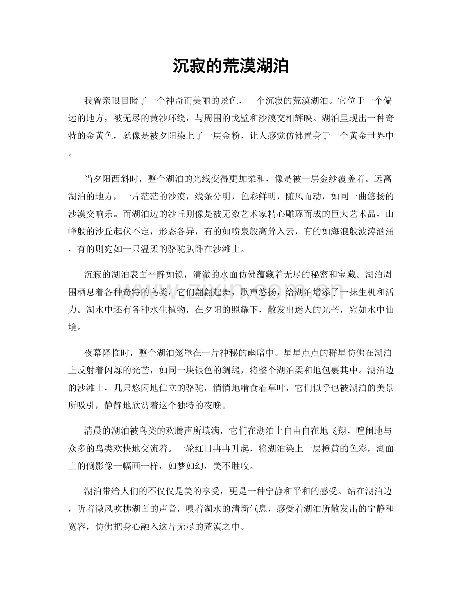 沉寂的荒漠湖泊.docx_第1页