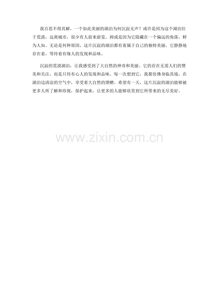 沉寂的荒漠湖泊.docx_第2页