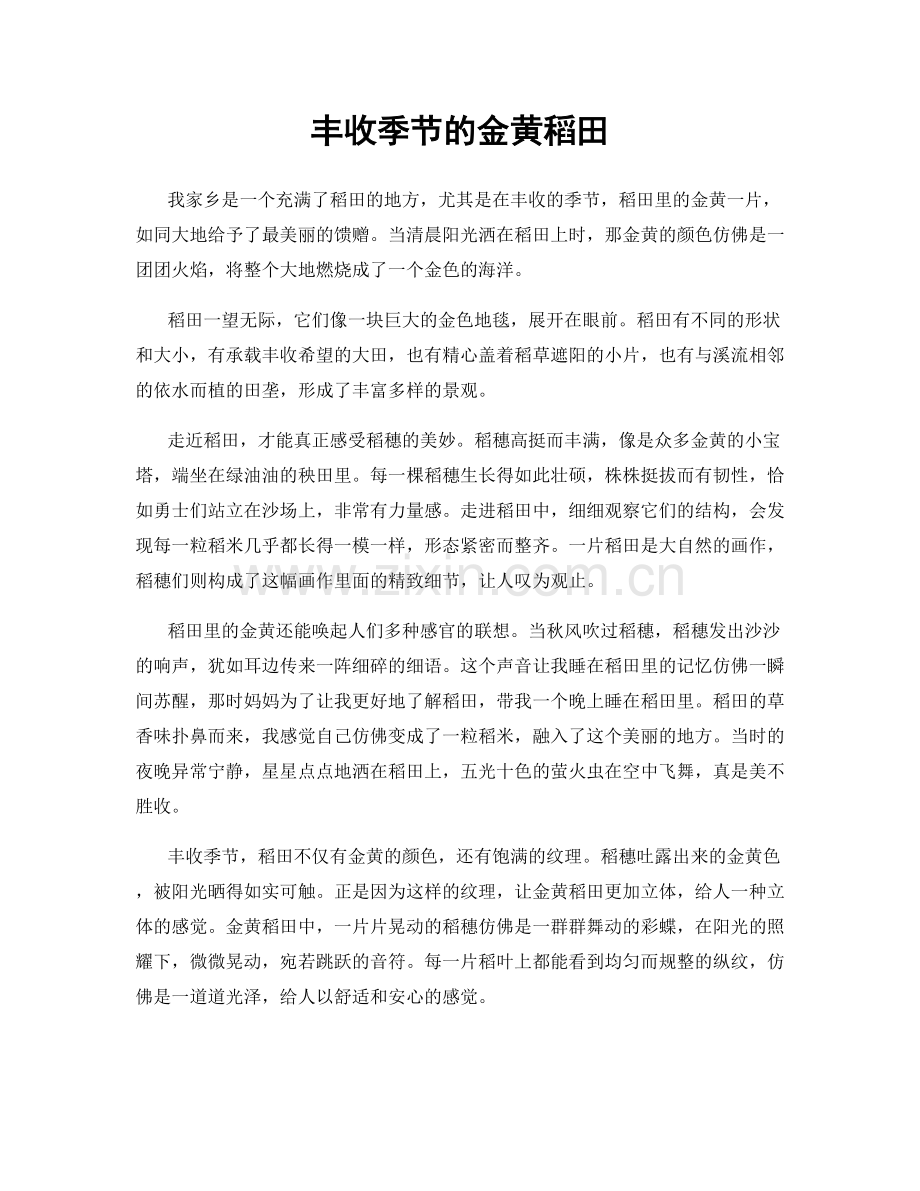 丰收季节的金黄稻田.docx_第1页