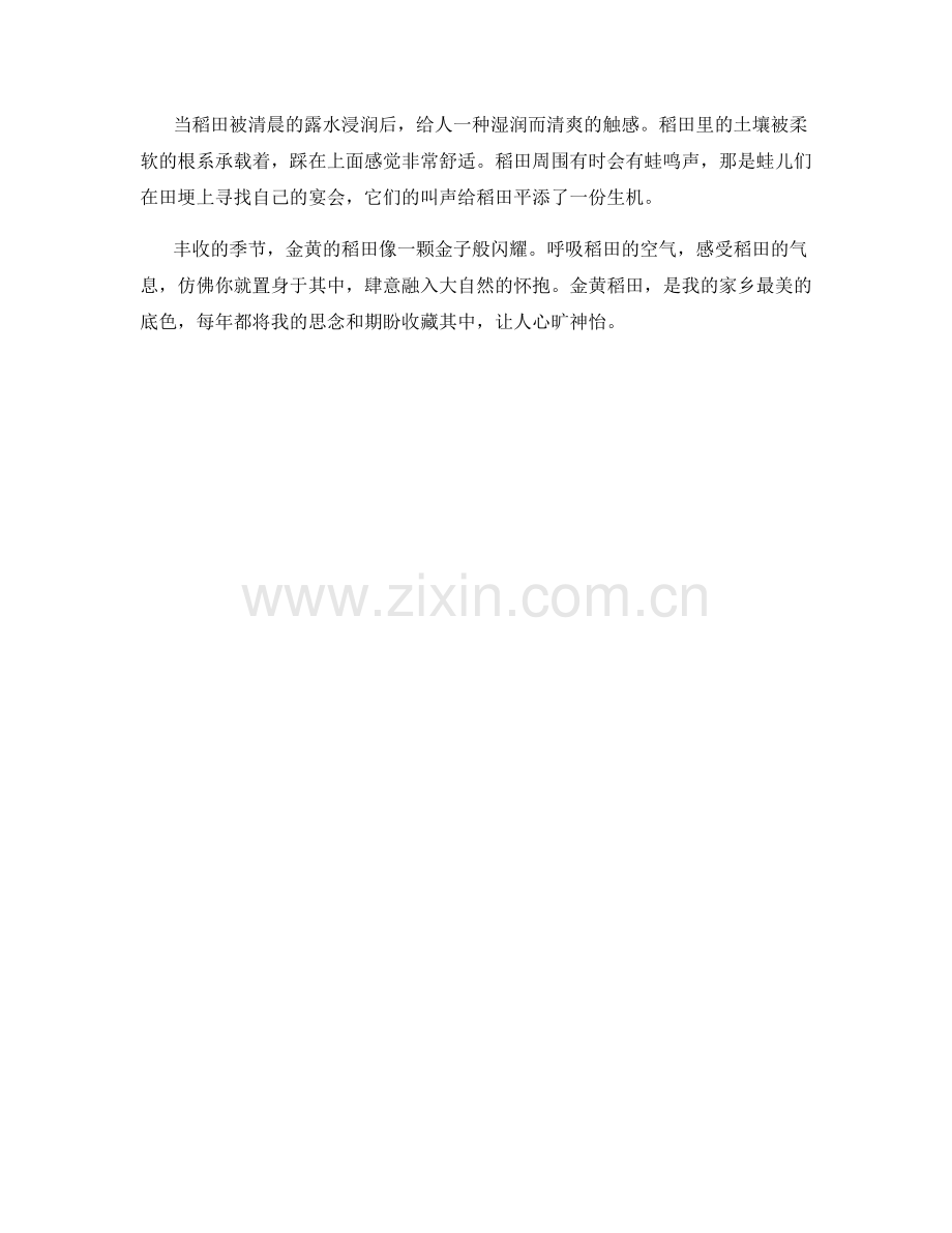 丰收季节的金黄稻田.docx_第2页