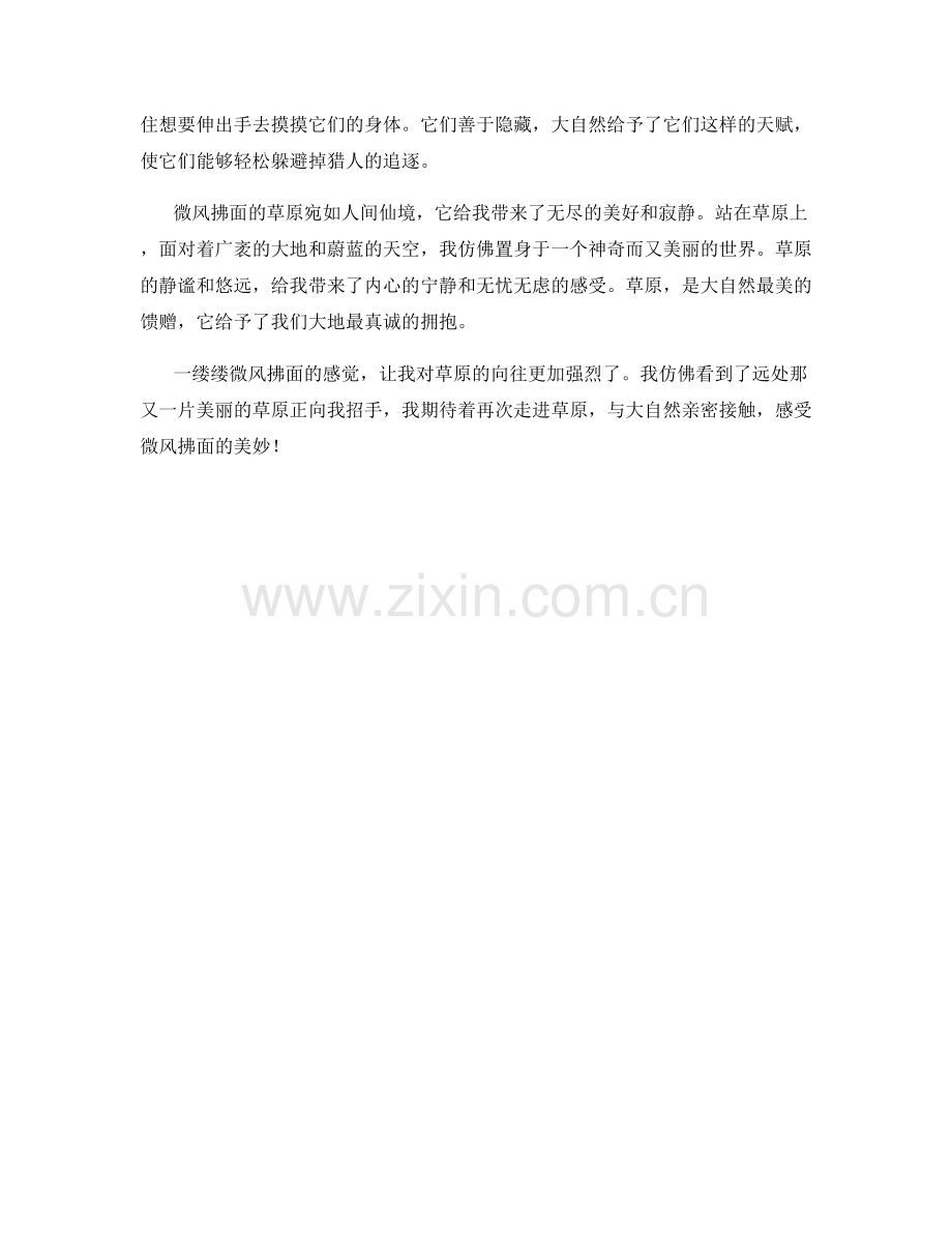 微风拂面的草原.docx_第2页
