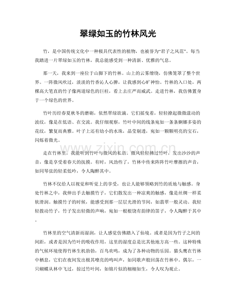 翠绿如玉的竹林风光.docx_第1页