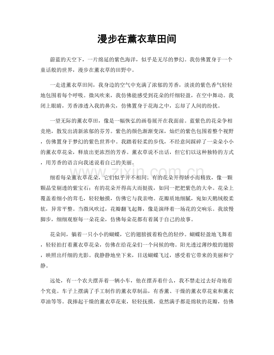 漫步在薰衣草田间.docx_第1页