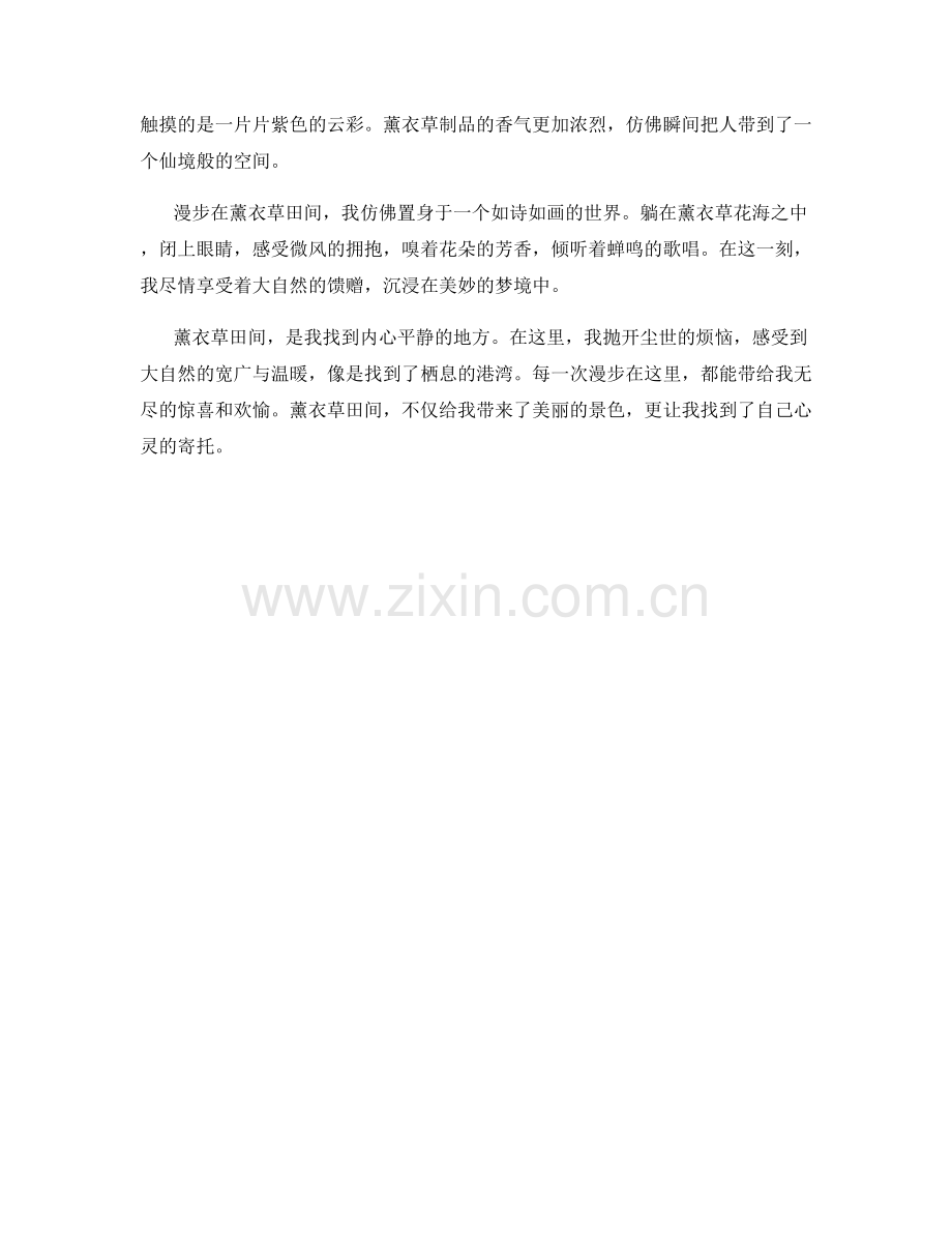 漫步在薰衣草田间.docx_第2页