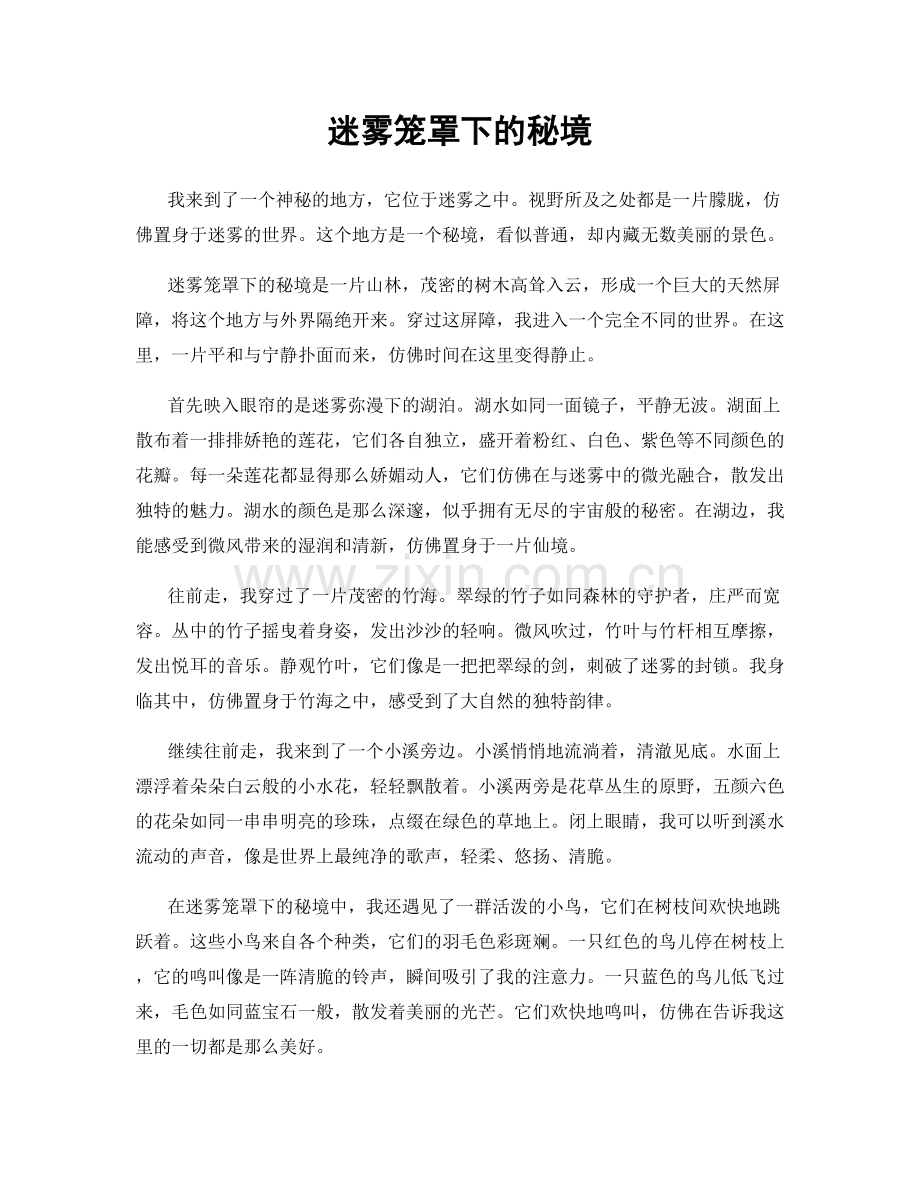 迷雾笼罩下的秘境.docx_第1页