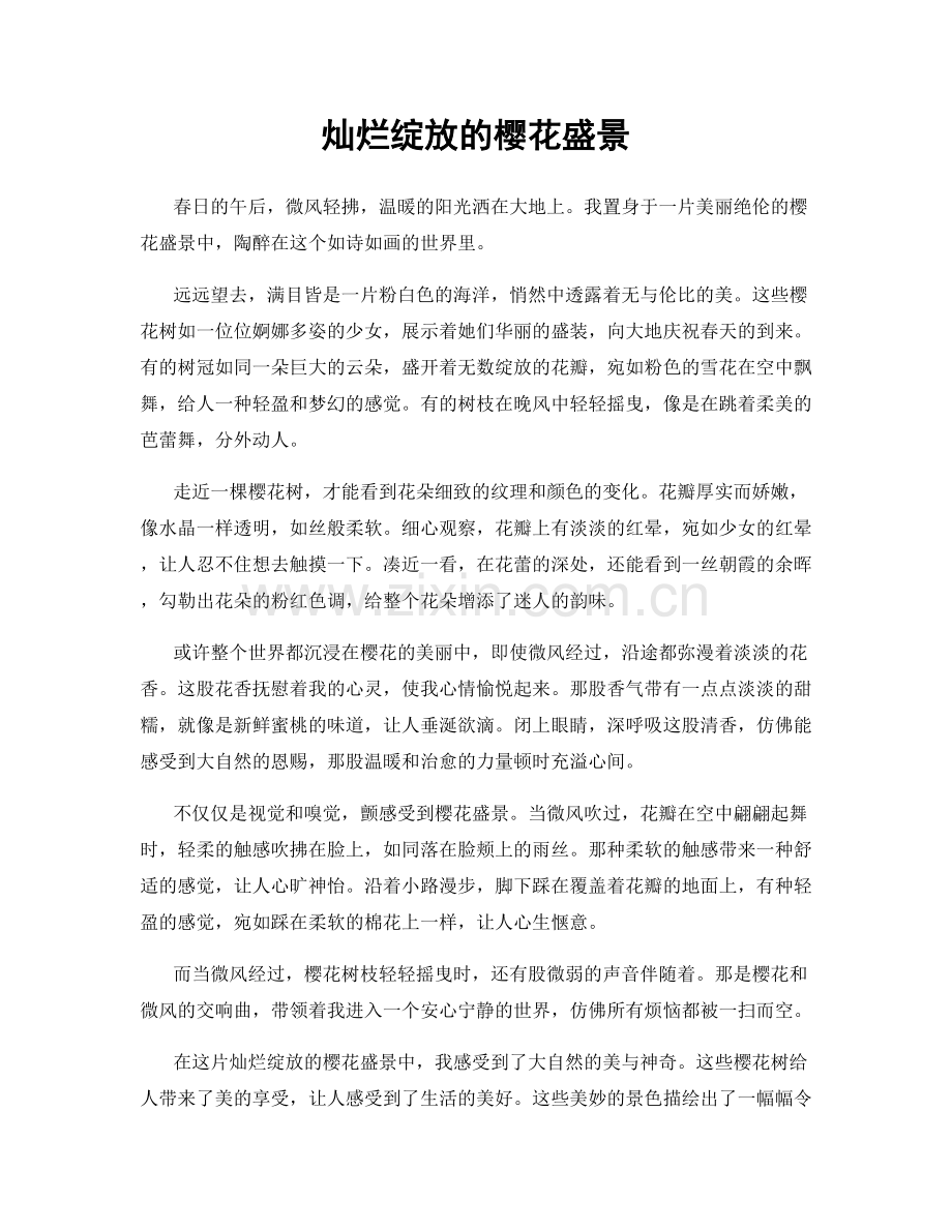 灿烂绽放的樱花盛景.docx_第1页