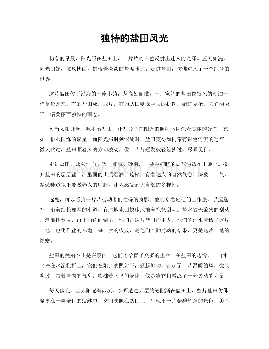 独特的盐田风光.docx_第1页