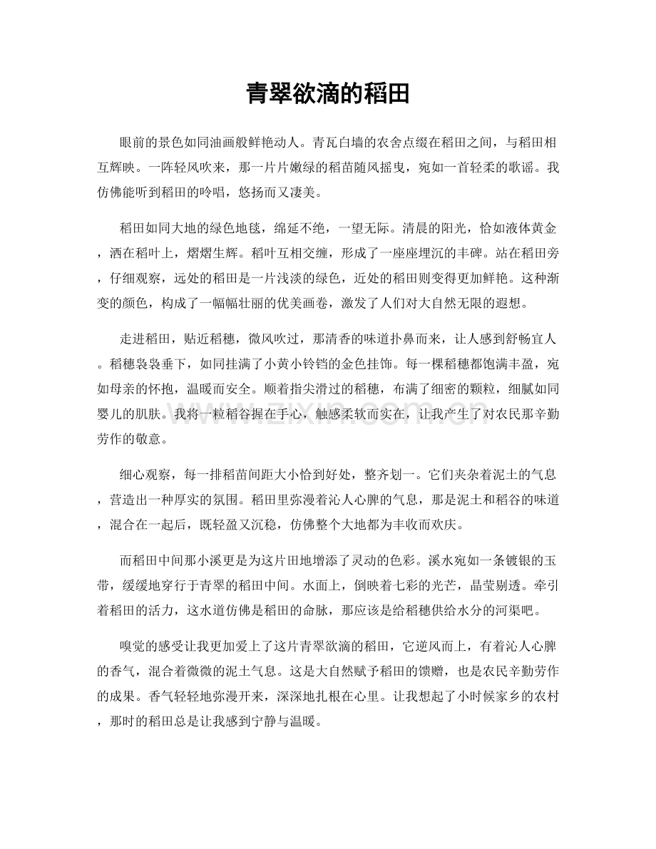 青翠欲滴的稻田.docx_第1页