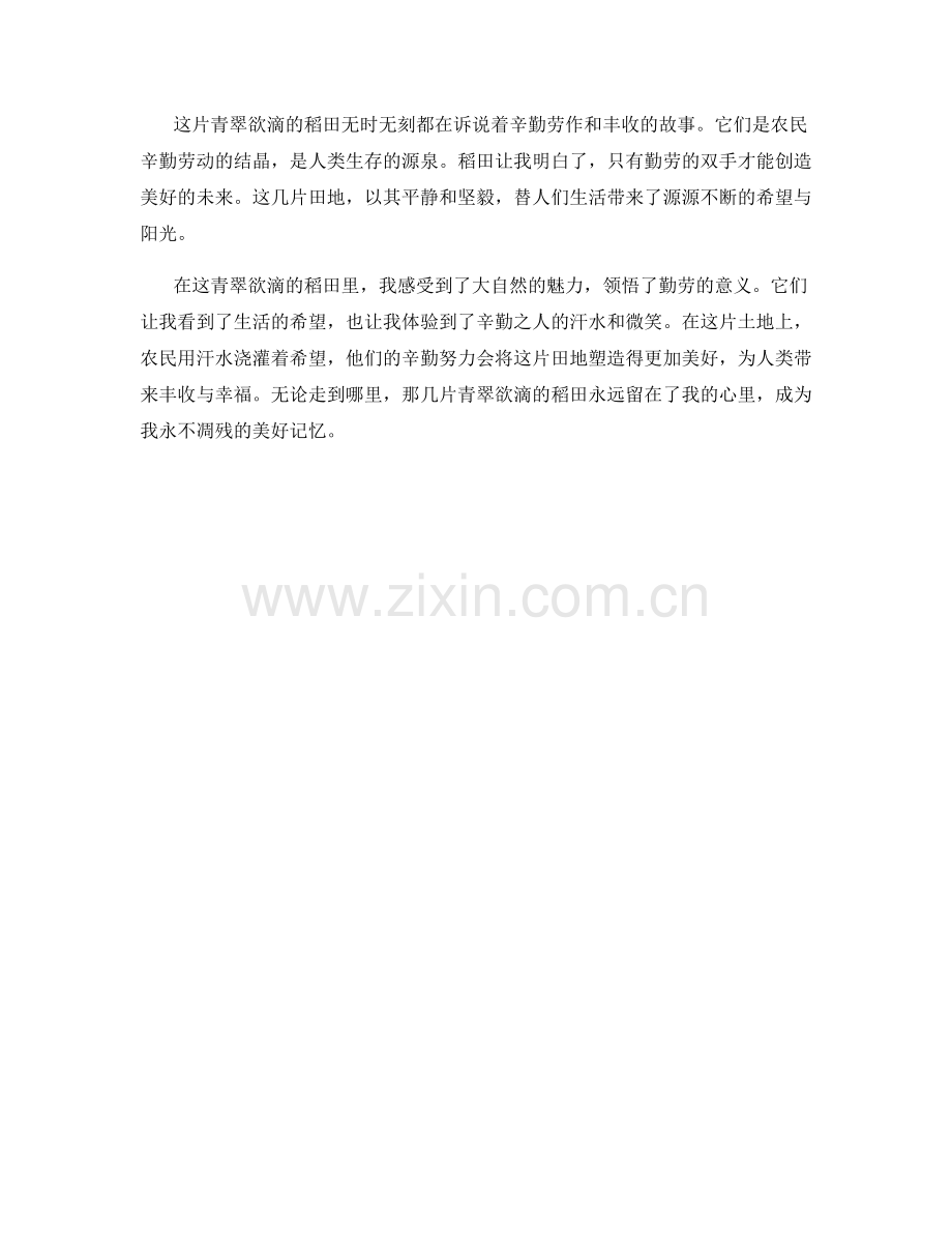 青翠欲滴的稻田.docx_第2页
