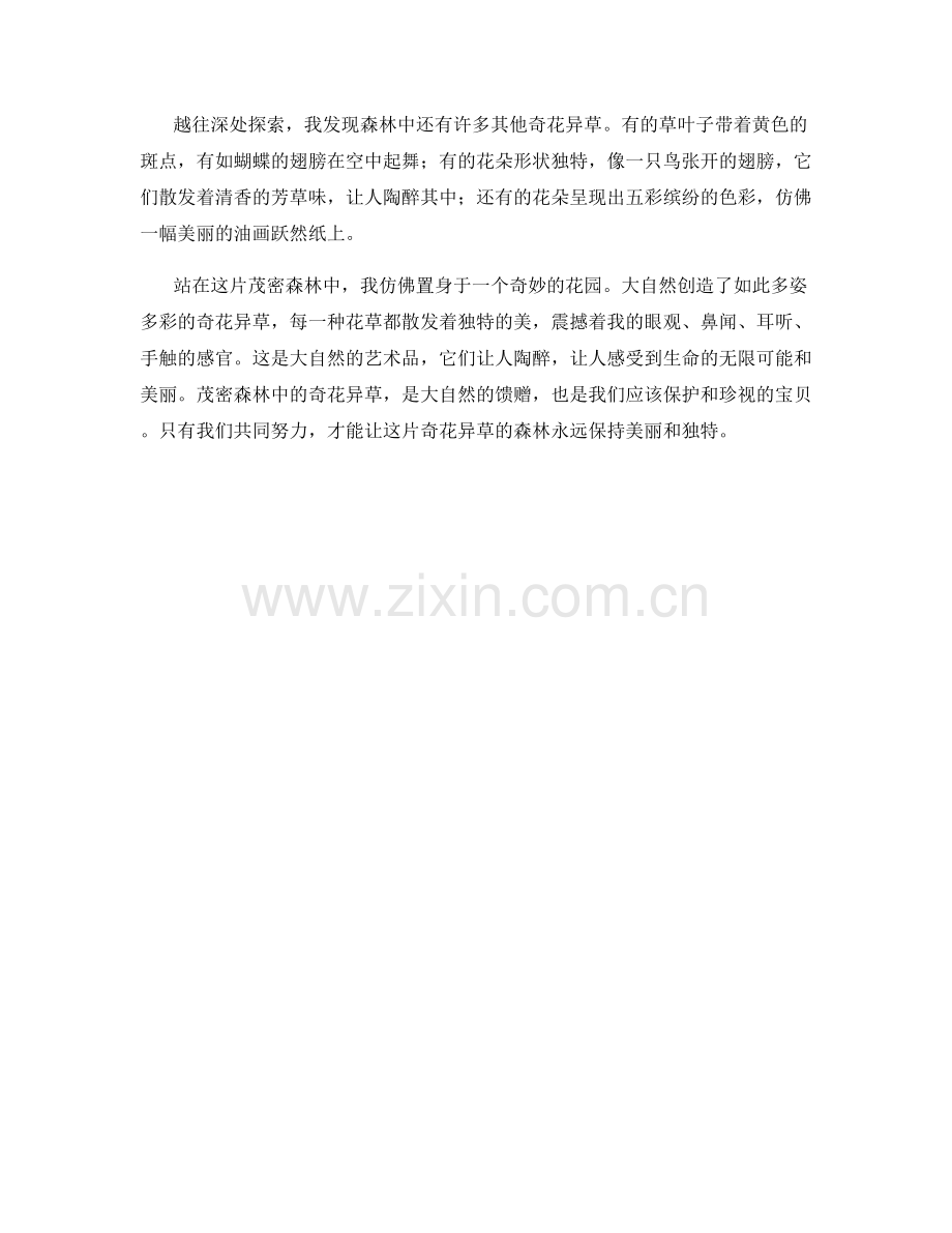 茂密森林中的奇花异草.docx_第2页