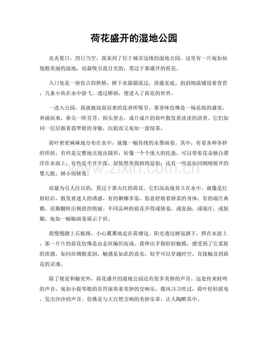 荷花盛开的湿地公园.docx_第1页