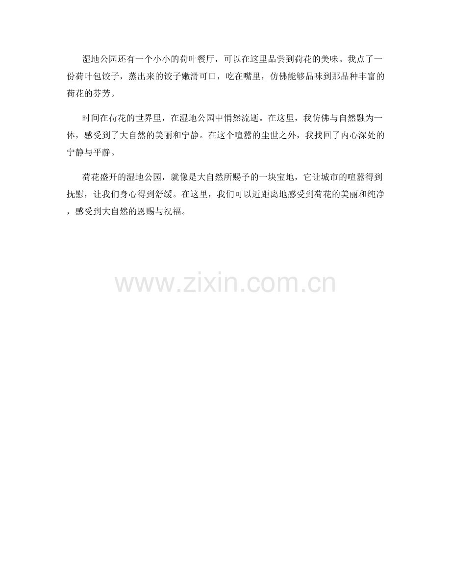 荷花盛开的湿地公园.docx_第2页