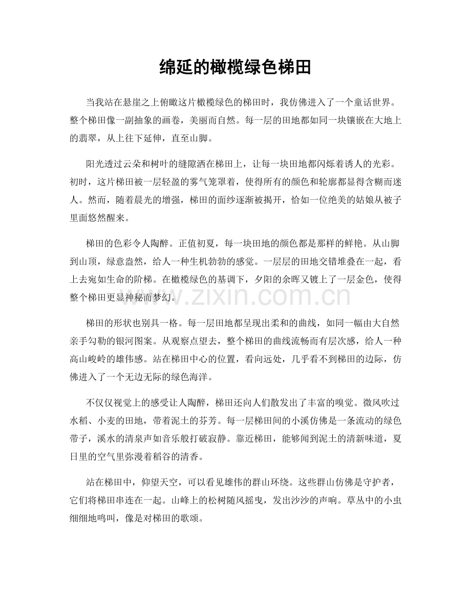 绵延的橄榄绿色梯田.docx_第1页