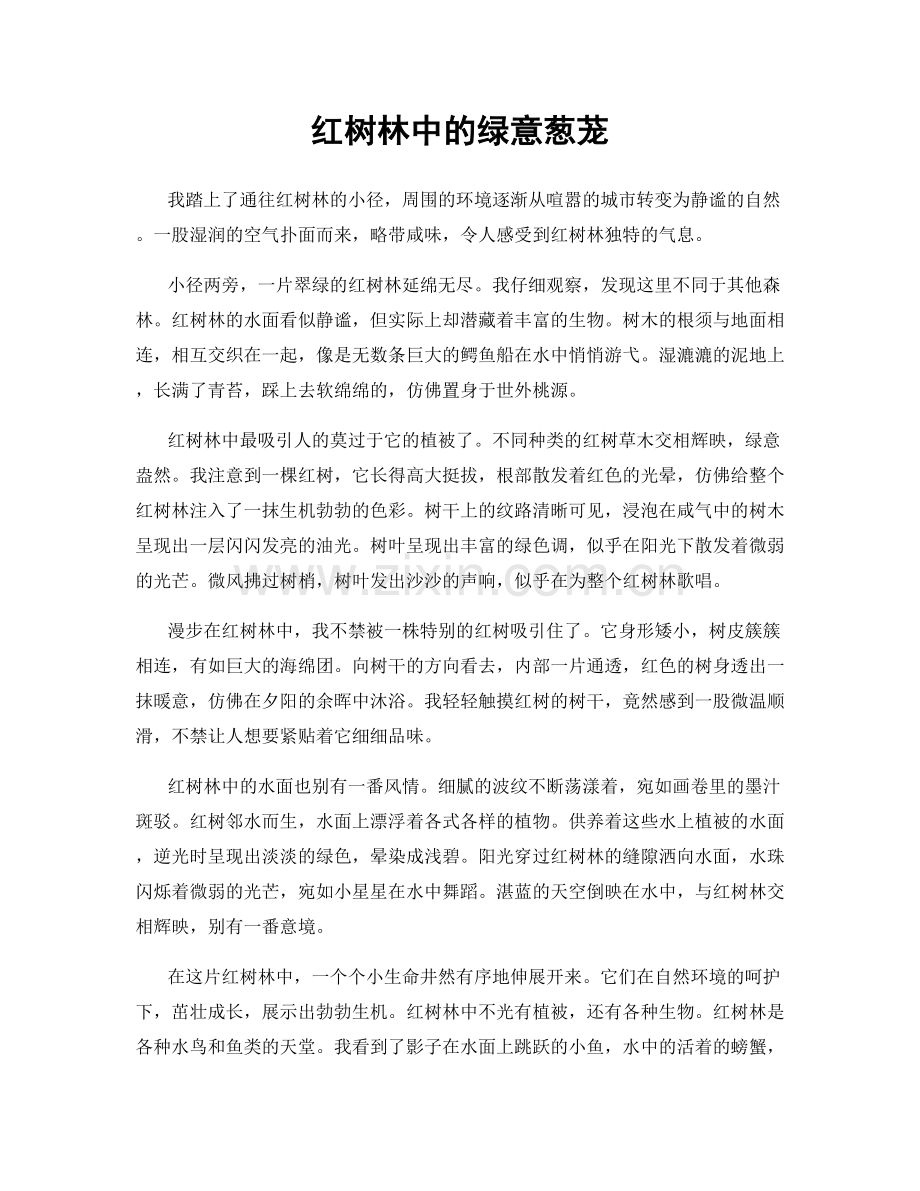 红树林中的绿意葱茏.docx_第1页