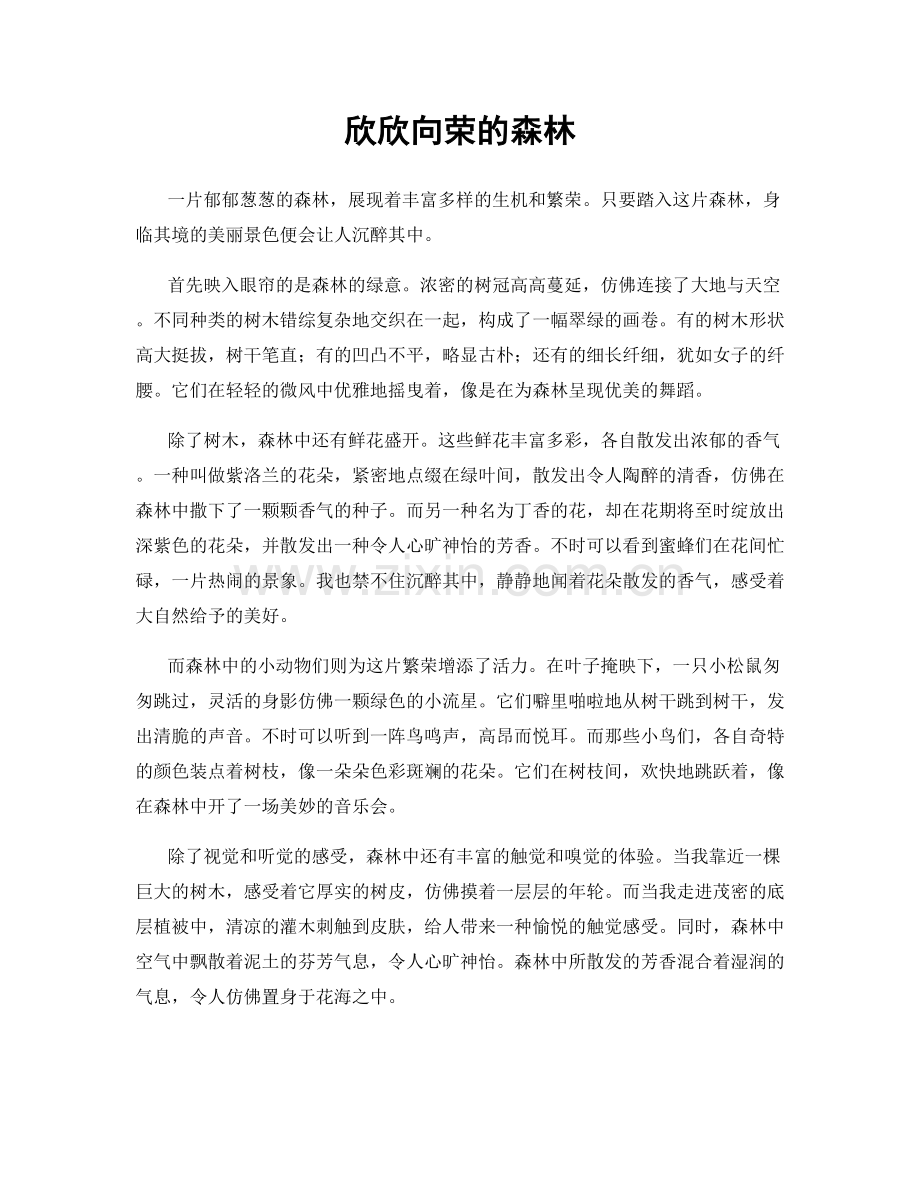 欣欣向荣的森林.docx_第1页