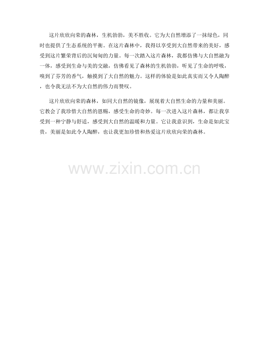 欣欣向荣的森林.docx_第2页