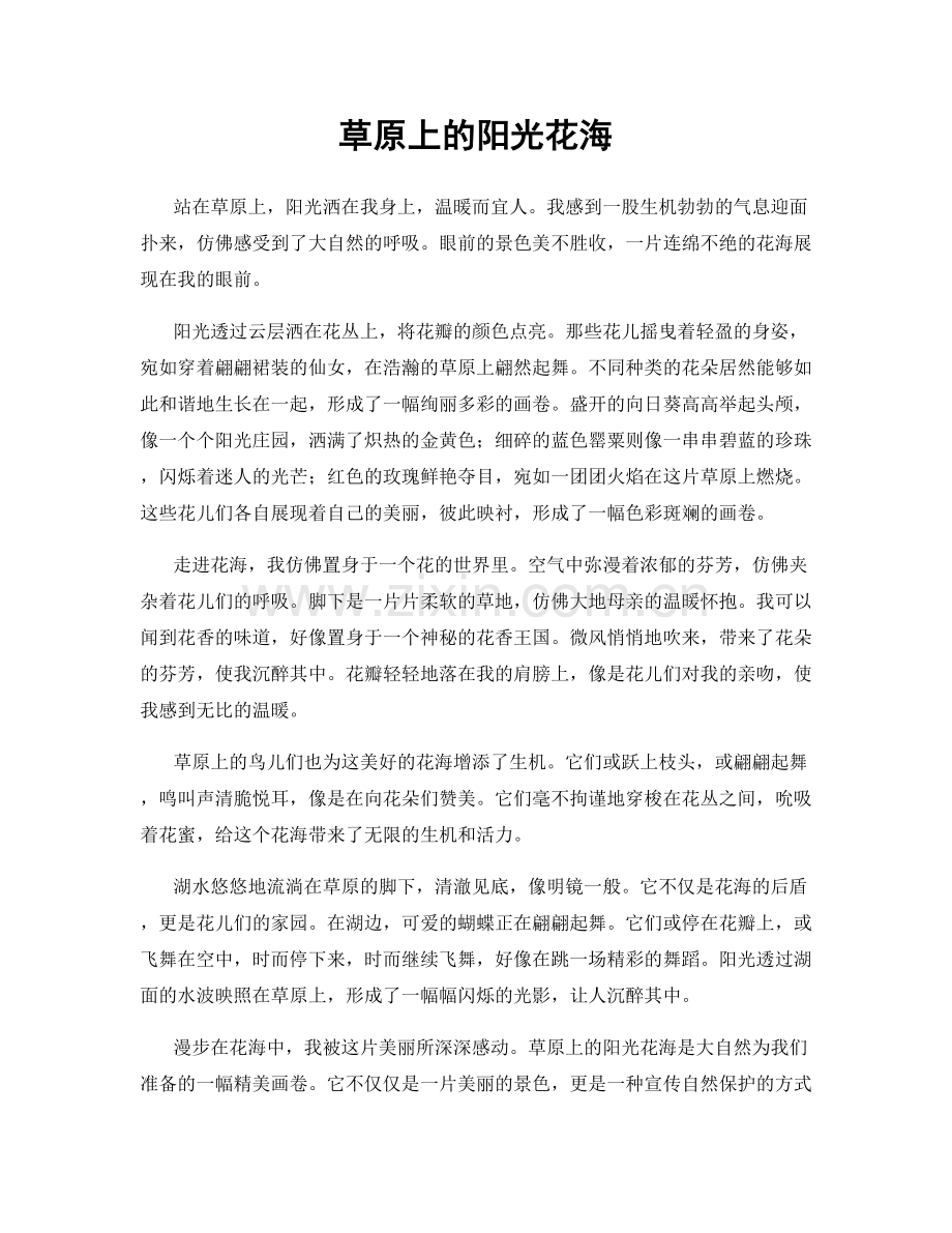 草原上的阳光花海.docx_第1页