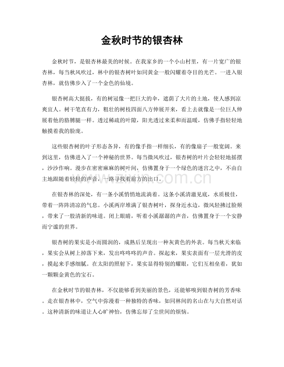 金秋时节的银杏林.docx_第1页