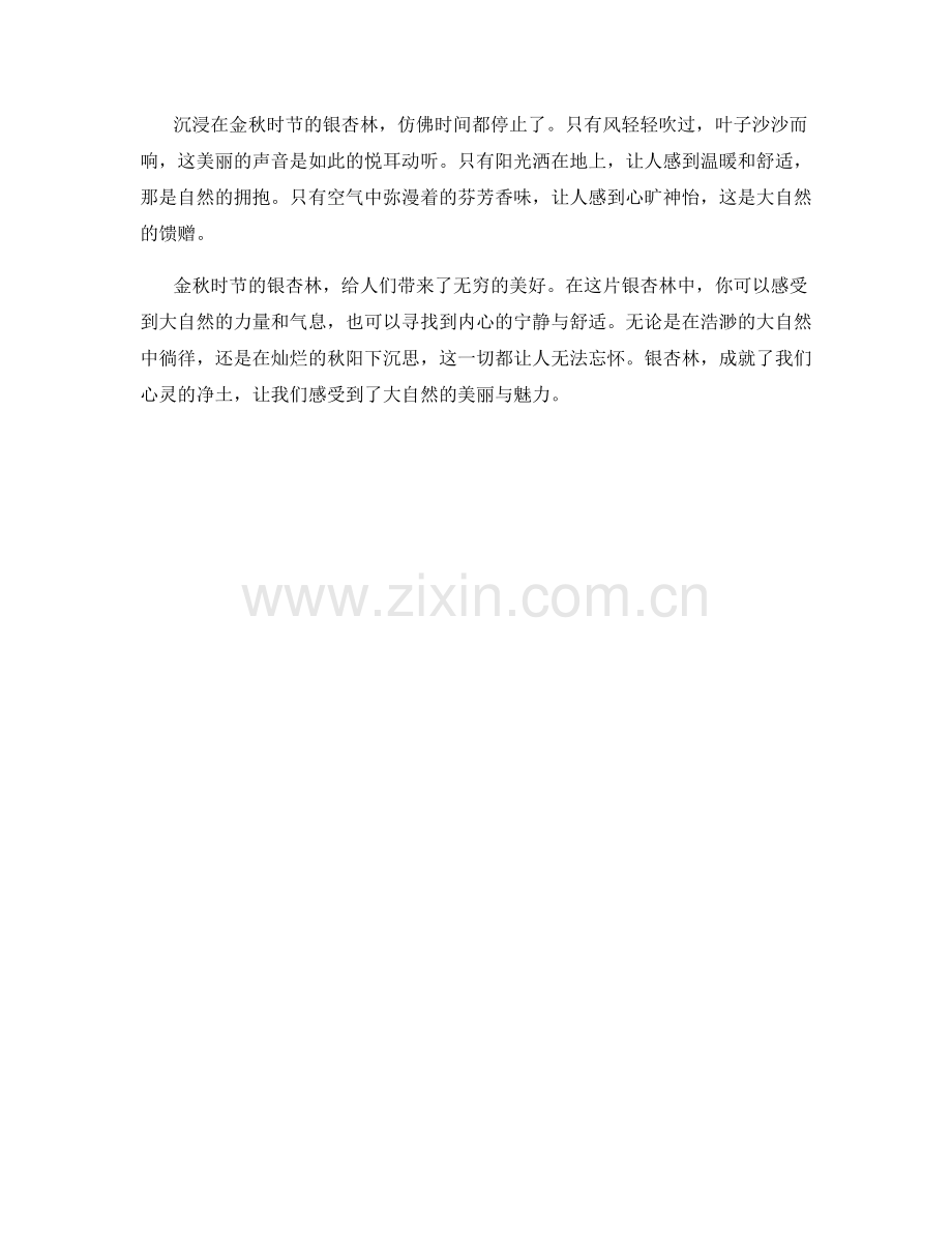 金秋时节的银杏林.docx_第2页