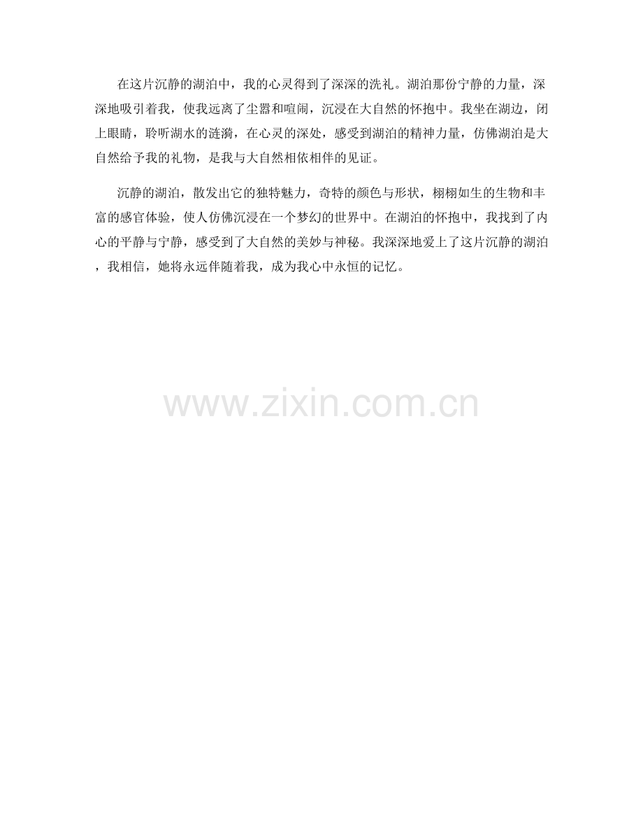 沉静的湖泊之恋.docx_第2页
