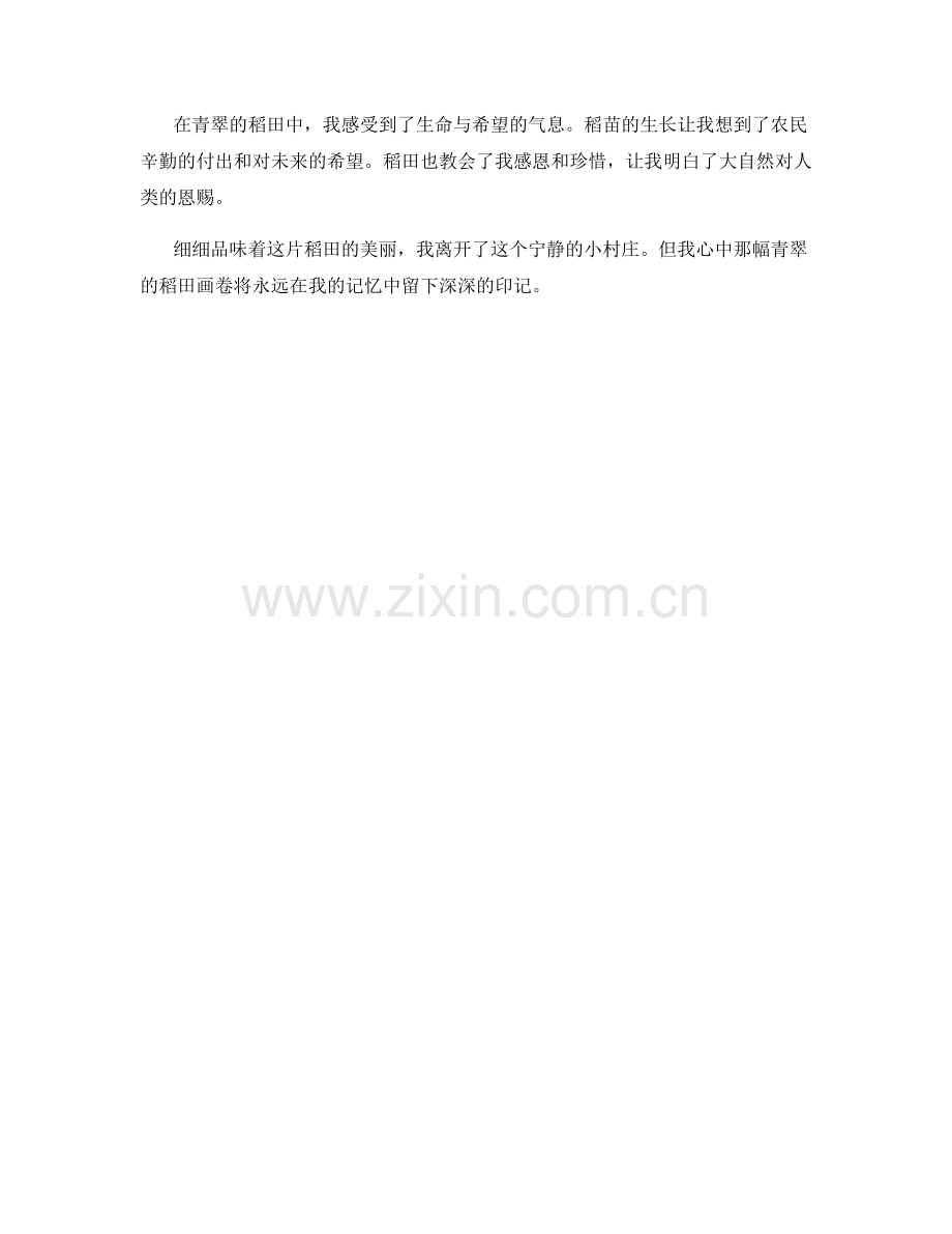 青翠的稻田画卷.docx_第2页