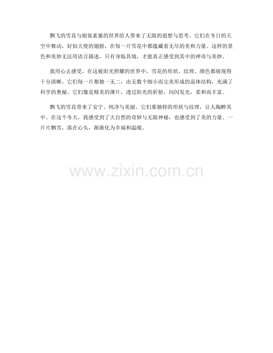 飘飞的雪花与银装素裹的世界.docx_第2页