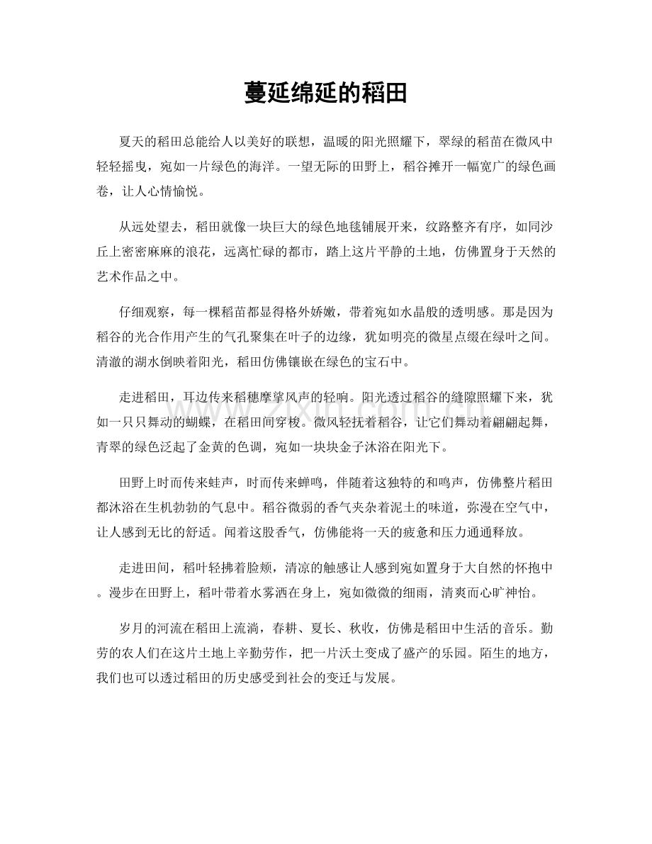 蔓延绵延的稻田.docx_第1页