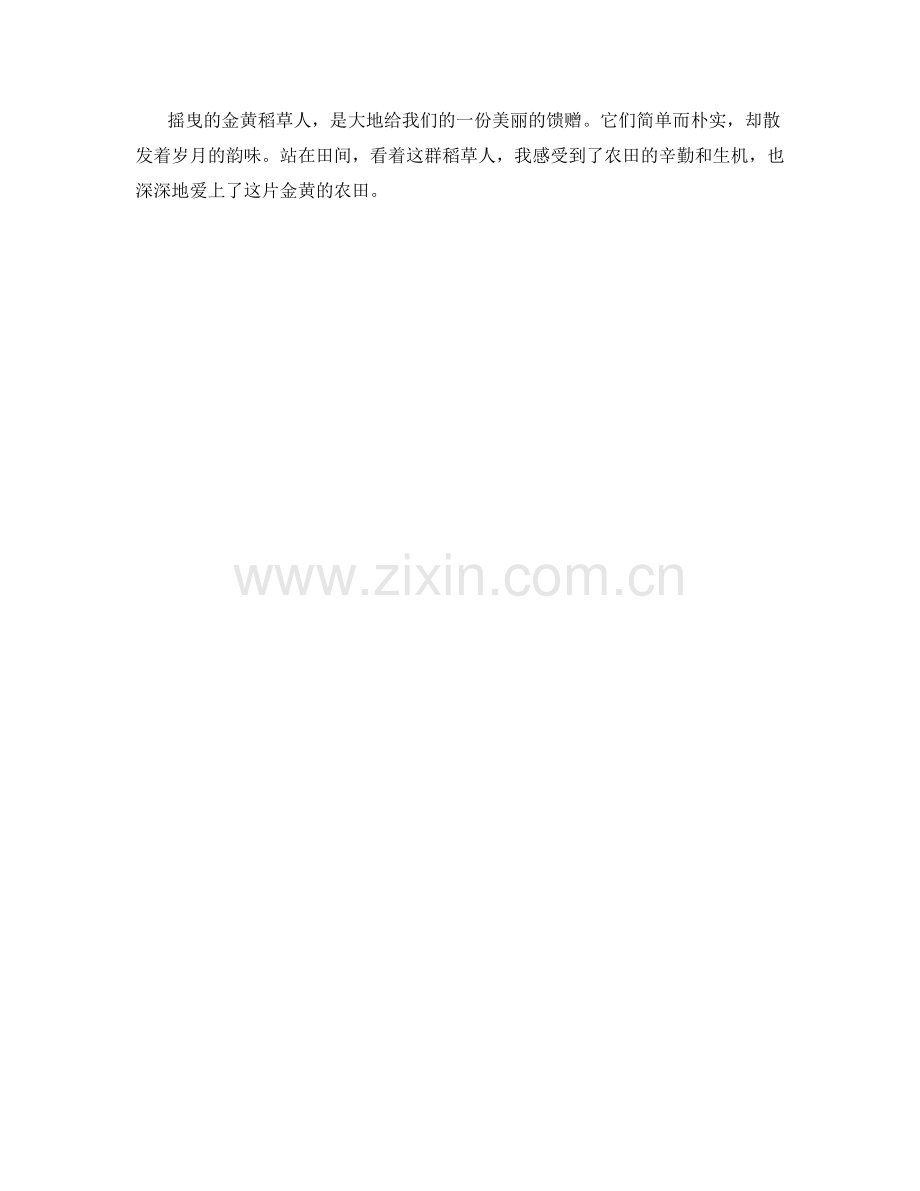 摇曳的金黄稻草人.docx_第2页