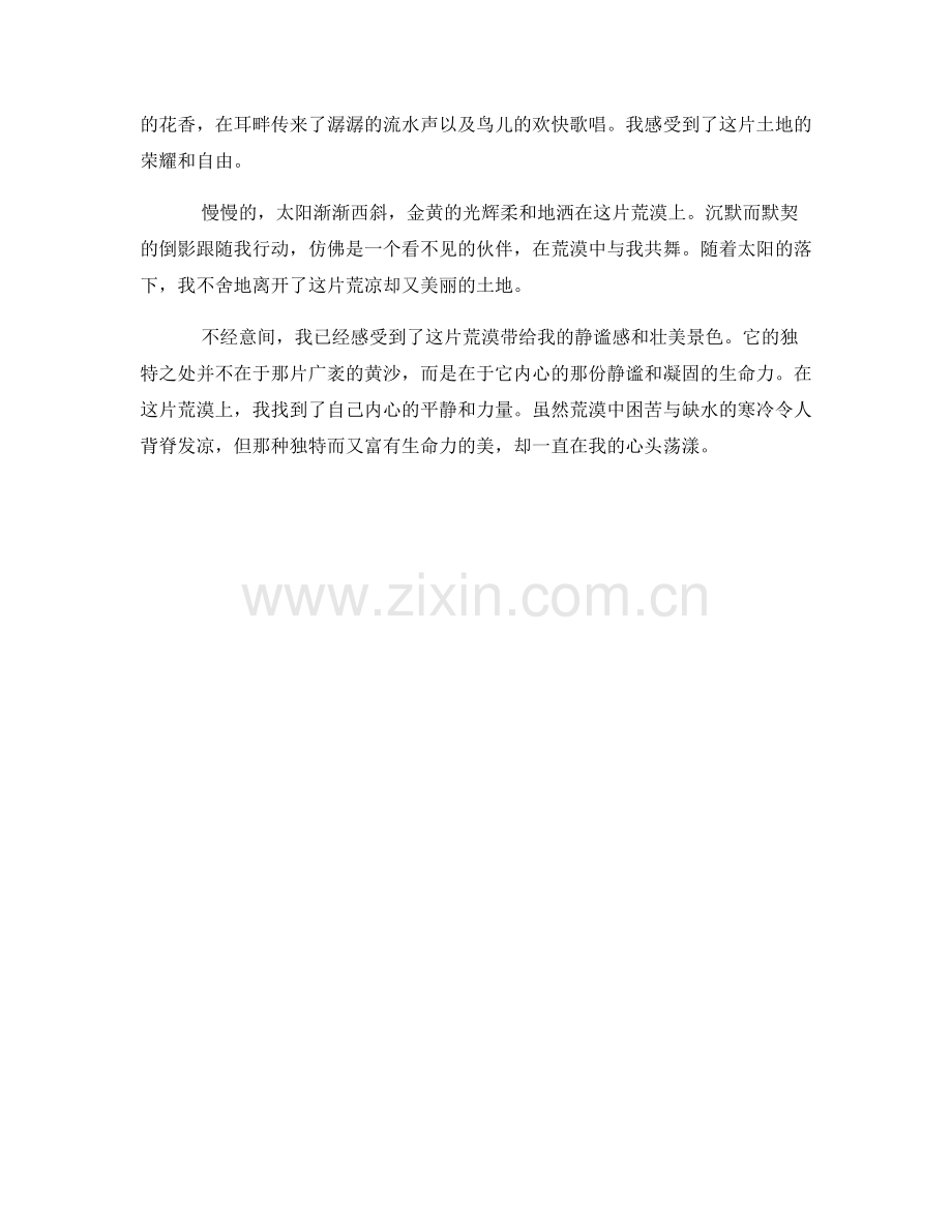 静谧的荒漠之旅.docx_第2页
